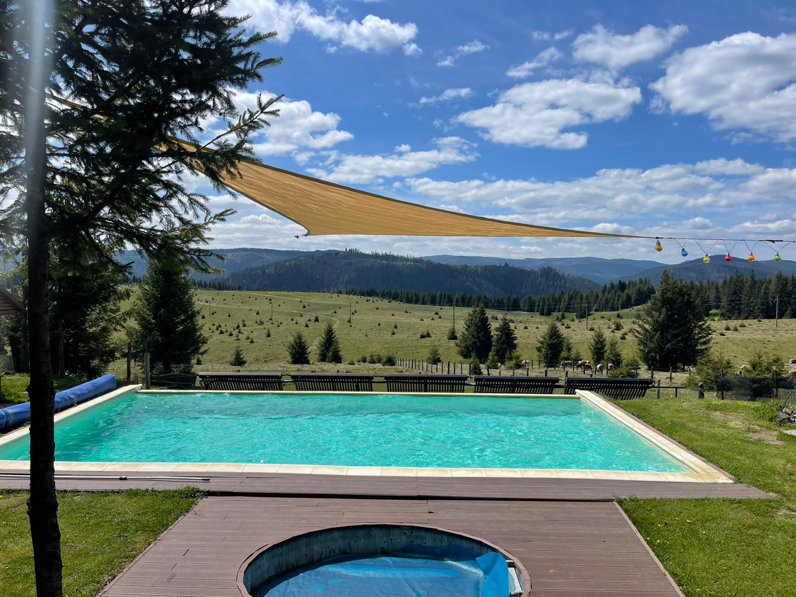 dc94e464-ed9f-4962-8f97-befc5e8fd256